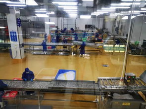 多圖首發(fā)！解密水產(chǎn)智能化工廠與文化館，探索未來(lái)水產(chǎn)新生態(tài)