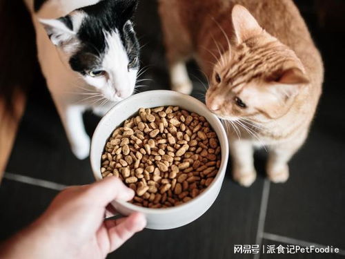未來五年寵物食品包裝市場 年復(fù)合增長率6.79%背后的機(jī)遇與挑戰(zhàn)